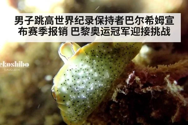 男子跳高世界纪录保持者巴尔希姆宣布赛季报销 巴黎奥运冠军迎接挑战